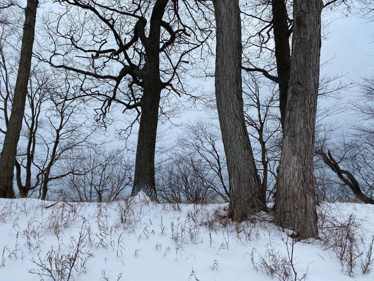 The Sanctuary At Deer Dune , Saugatuck Εξωτερικό φωτογραφία