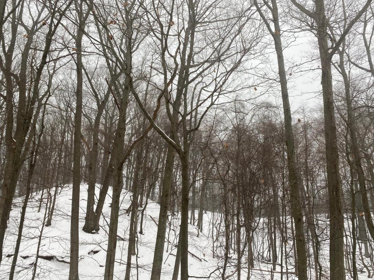 The Sanctuary At Deer Dune , Saugatuck Εξωτερικό φωτογραφία