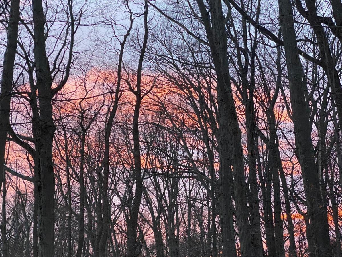 The Sanctuary At Deer Dune , Saugatuck Εξωτερικό φωτογραφία